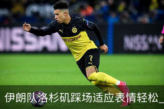 伊朗队洛杉矶踩场适应表情轻松 与挡板外记者们挥手致意